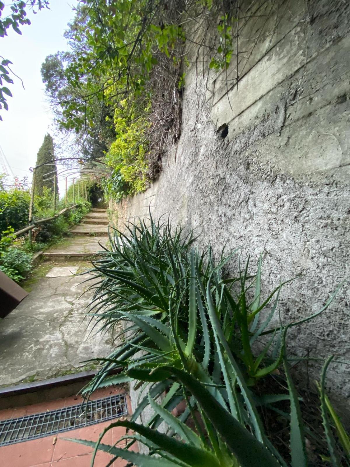 斯培西亚Caligo住宿加早餐旅馆 外观 照片